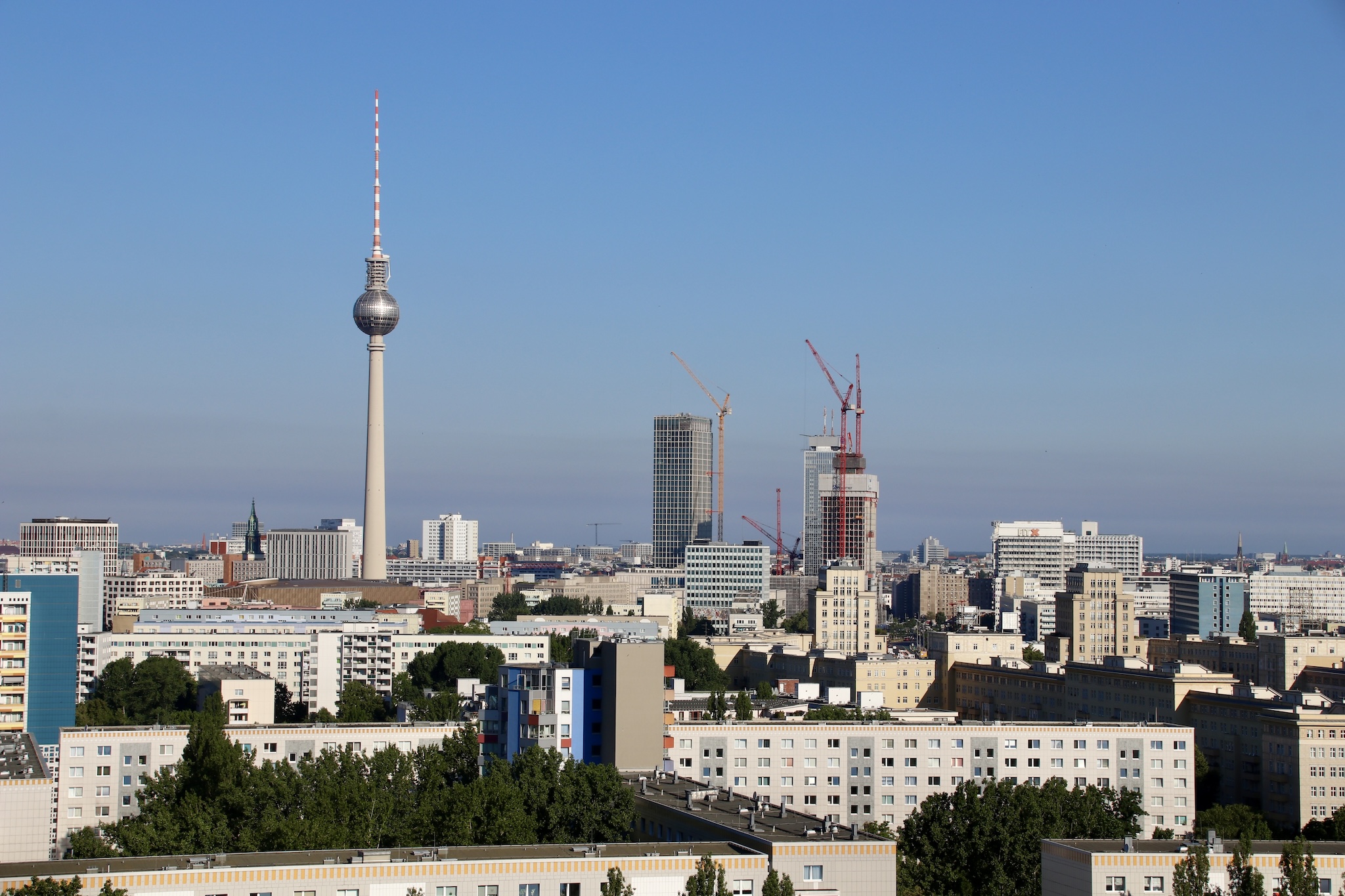 IMG_8660.JPG